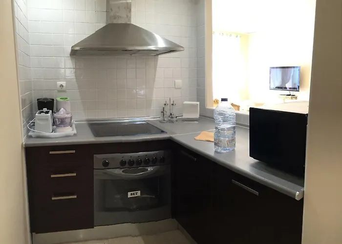 Luxury Duplex With Views. 別荘 マルベーリャ