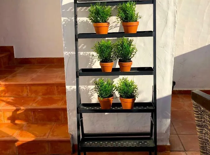 Luxury Duplex With Views. 別荘